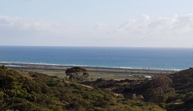 Private entrance 1 bedroom flat close to the beach in a quiet neighborhood
