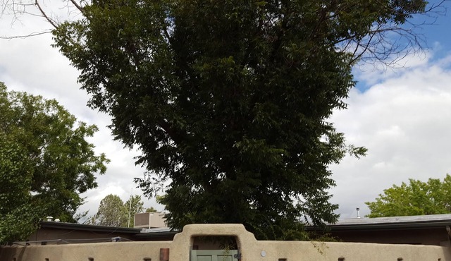 Private Entrance and Bath, 1 BR, Central N Valley. Wifi, Good Neighborhood
