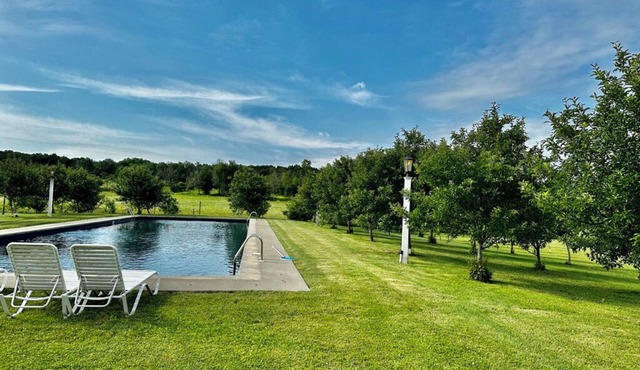 Private Estate in the Finger lakes, Heated Olympic pool.