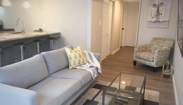 Private Executive Suite #2 - Large One Bedroom