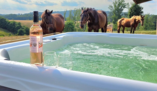 Private Farm Cottage surrounded fields, farm animals, mountain views & hot tub!