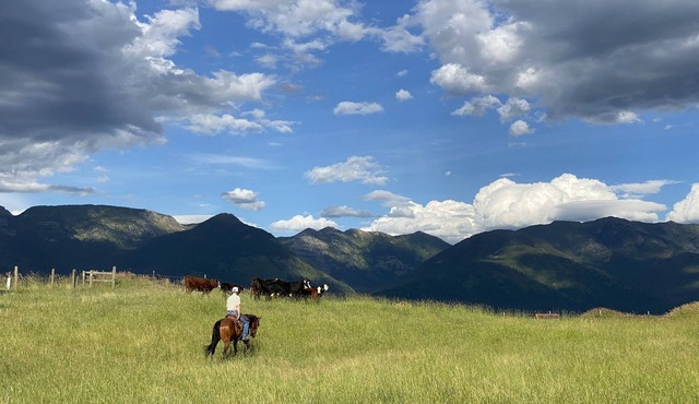 Private Farm House with Spectacular Views