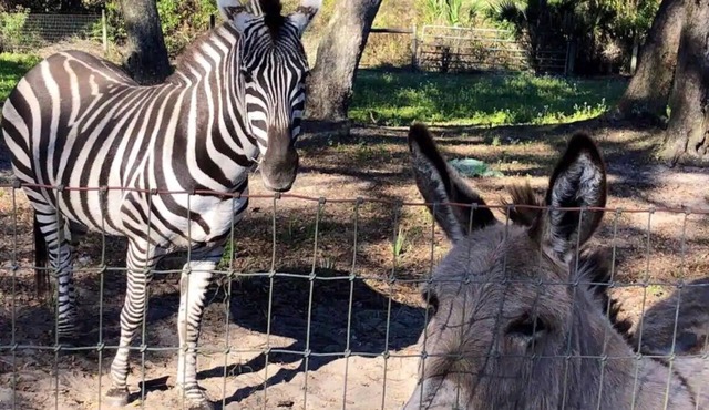 Private Farm With Beach