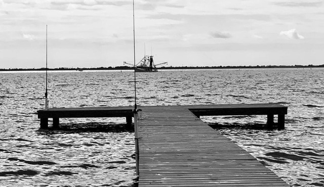 Private fishing pier and a beautiful view!