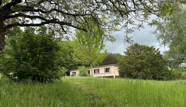 Private House at Domaine de Puygiraud sur L'Anglin for 14 guests
