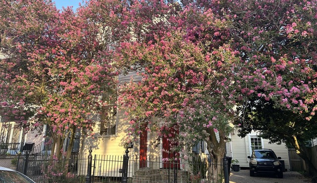 Private Garden District Home