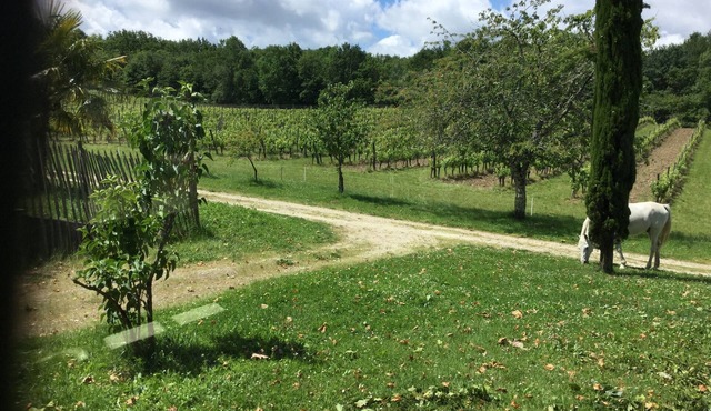 Private gite for rent in a wine estate