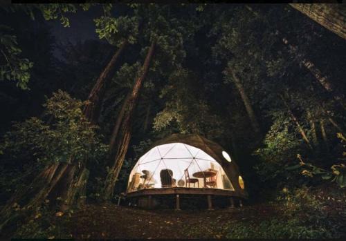 Private Glamping Getaway in the Redwoods near Santa Cruz, California