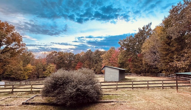 Private Guest House in the Woods situated on 27 acres.