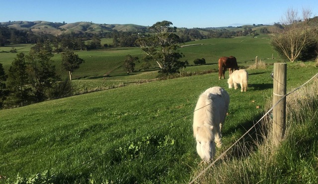 Private guest suite in home. Own entrance., spectacular views,