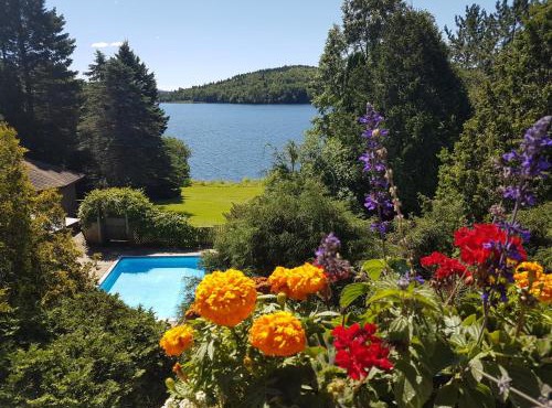 Private Guest Suite with 2 Rooms, Pool, Lake Access
