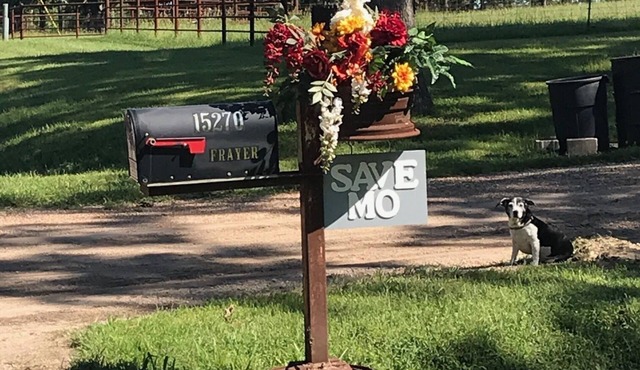 Private GuestHouse Cottage GetAway