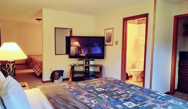 Private Guestroom inside the Lodge at North Ironwood Acres with three beds and one bathroom. Dog Friendly!