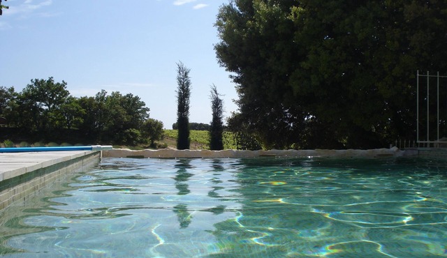 Private heated infinity pool. Jacuzzi, lavender, mountains and vineyards.