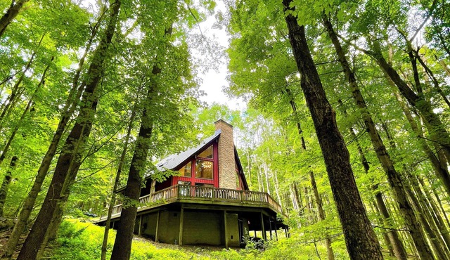 ★ Private Hideaway w/Hot Tub & Wood Fireplace- Stylish & Serene - Hike & Snowshoe from Cabin! ★