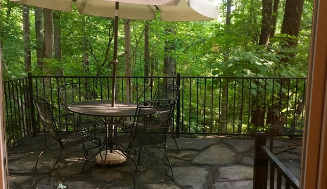 Private Hillside Terrace Apartment with Stone Patio Overlooking Woods