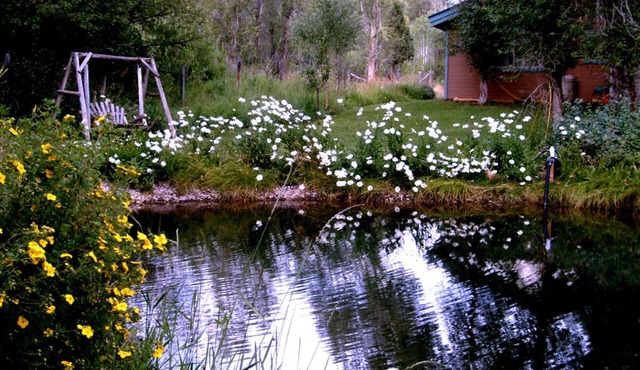 Private home, creek, pond, serene, quiet, breathtaking landscape