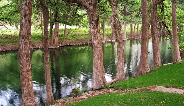 Private Home & Frio River Front - 2 Main BR + Optional extra BR - max 19 guests