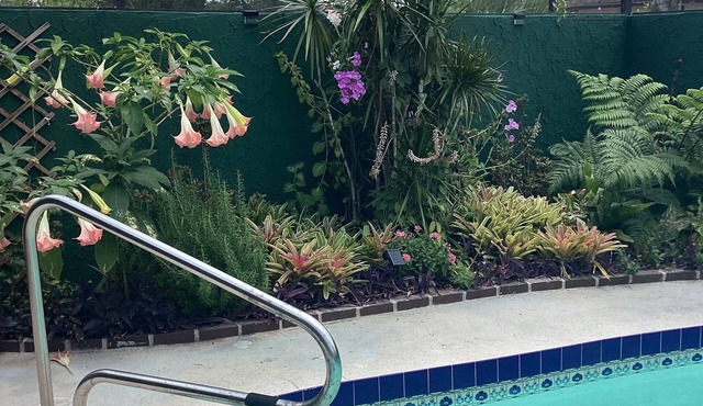 Private home with beautiful pool, ping pong, darts, close to beach and downtown.