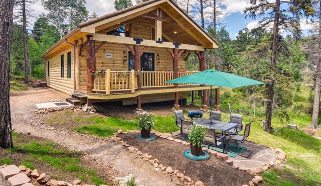 Private Hot Tub and Pond Conifer Log Cabin