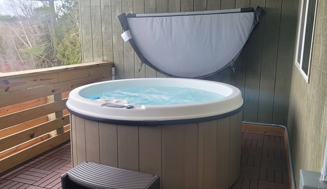 Private Hot Tub, King Size Bed Crystal Mountain 17 miles, Traverse City Sleeps 4
