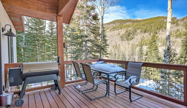 Private Hot Tub & Mountain Views: Duplex in Salida