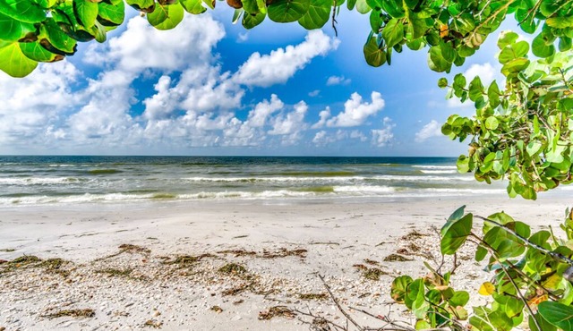 Private Island Escape
