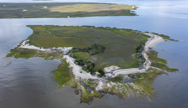 Private Island Experience Day Trips, Events, Tours