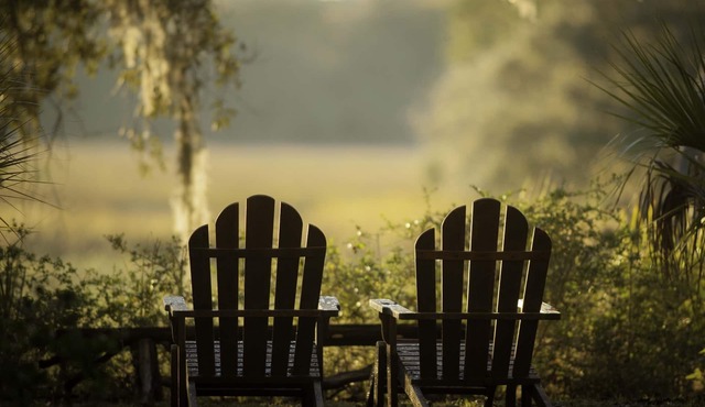 Private Island - Soulfully Peaceful Access to Nature & Wildlife Watching