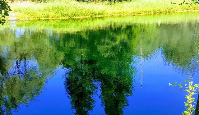 Private Lake, Farm Stay, 100 acres Granite Bay