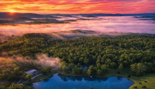 Private Lake! Sports Arena Sleeps 30 Movie Theater