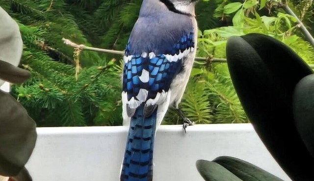 Private Lake with 180° views