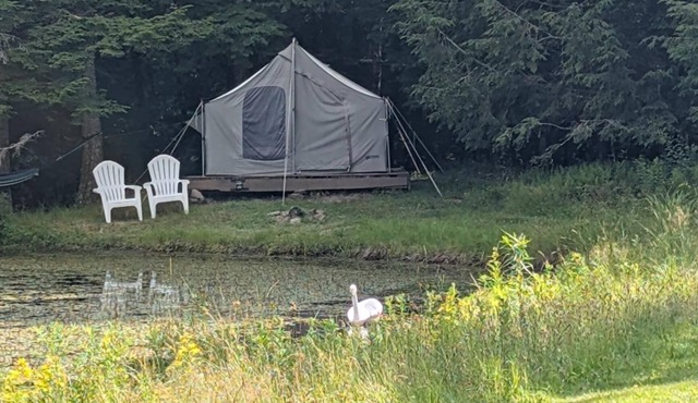Private Lakefront Glamping Campsite