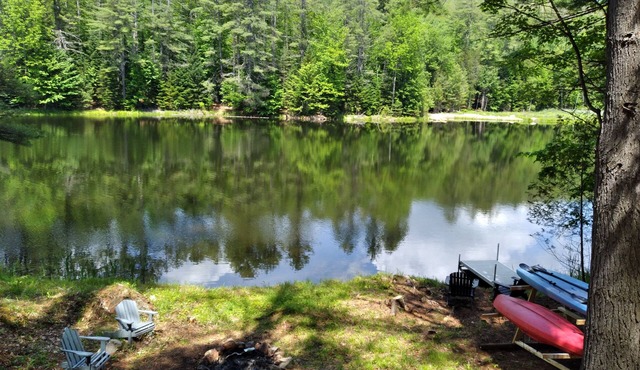 Private lakeside cabin for those looking for peace and quiet in Brant Lake.
