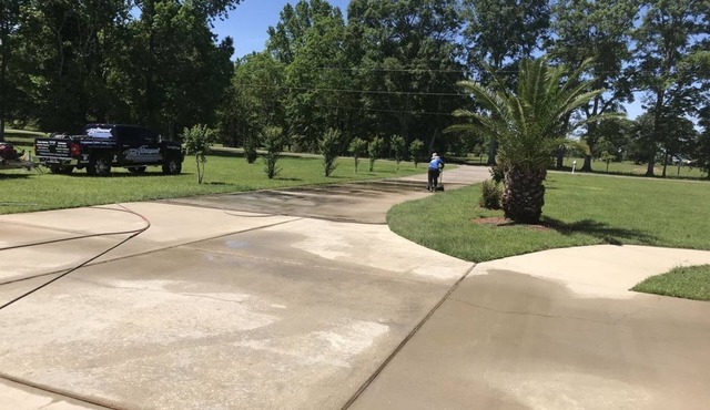 Private Legacy Garden! Share large home with plenty of privacy