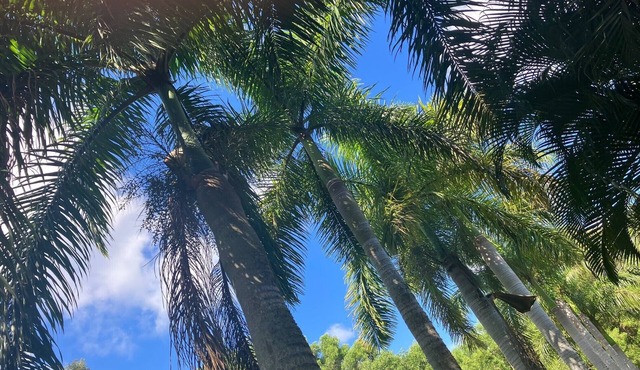 Private location on island time