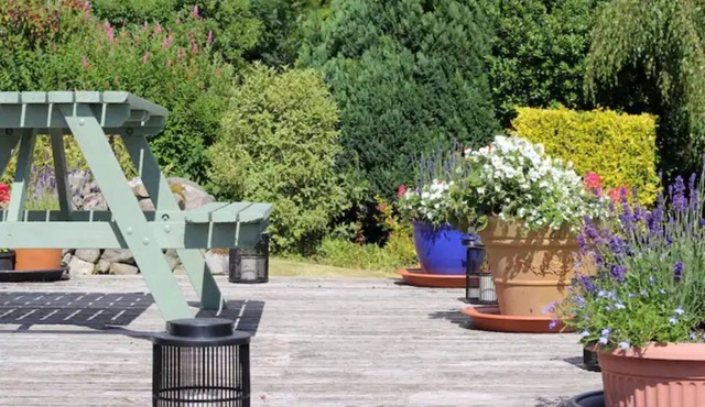 Private Loch Access, quiet and comfortable farm cottage.