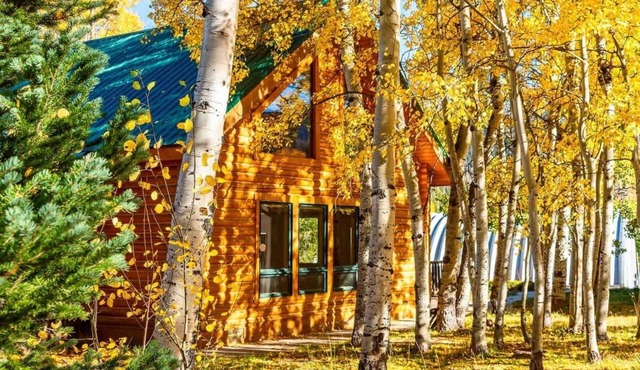 Private & Lux Gore Pass Adventure Cabin W/Hot Tub