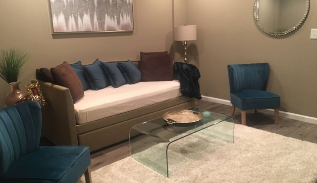 Private Luxury Apartment with FREE Parking