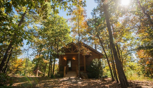 Private Luxury Log Cabin Getaway w/hot tub 20 minutes west of Little Rock
