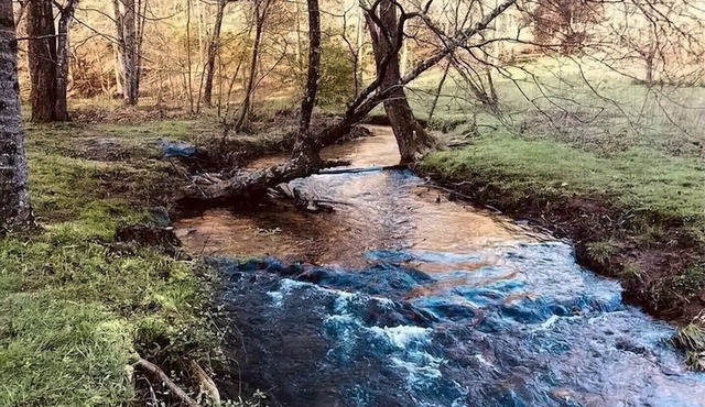 Private Modern Creekside Cottage Offering A Peaceful & Relaxing Getaway