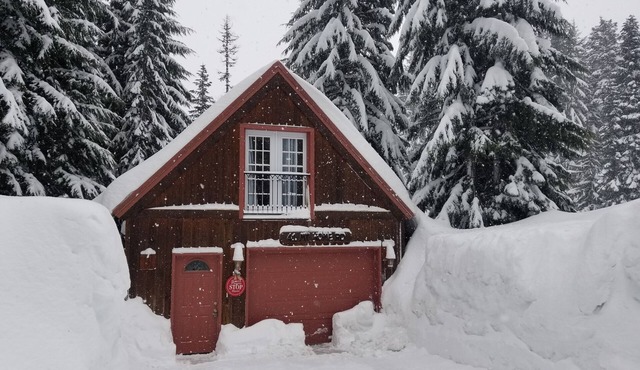 Private Mountain Cabin - Pet friendly and fast internet