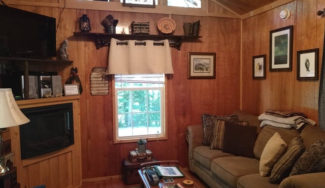 Private Mountain Cabin With Loft/Hot Tub/Stream and pet friendly