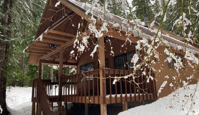 Private Mountain Cabin at Kachess Lake