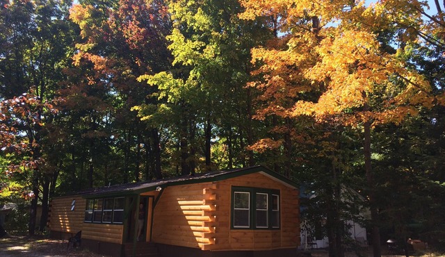 Private 'Mountain Cabin: middle of Everything!