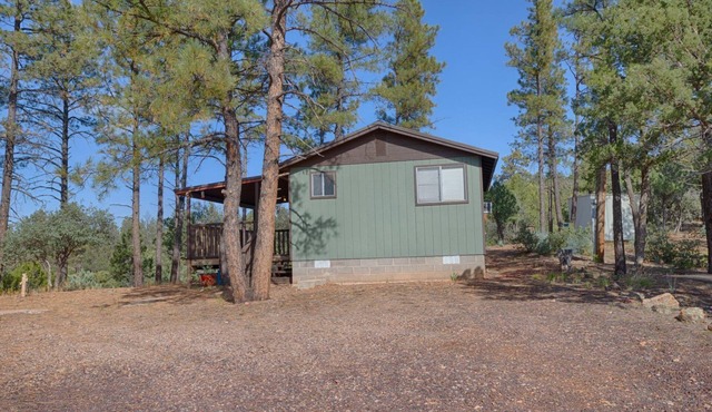 Private Mountain Get-A-Way in the Pines
