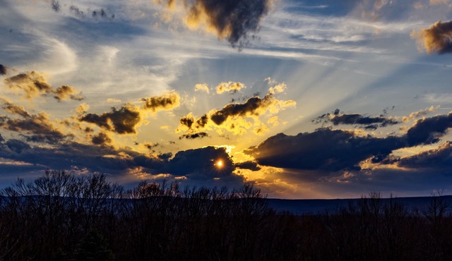 Private mountainside chalet bordering Dolly Sods with beautiful panoramic view.