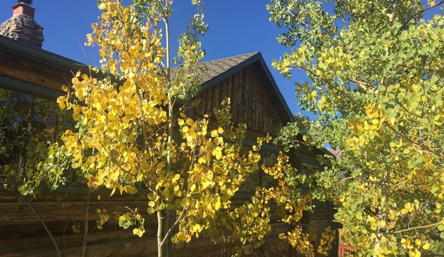 Private Mountaintop Cabin High in the Majestic Blue Sky