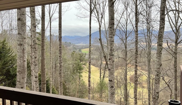 Private Mtn Cottage, w Views, location, Fire Pit, Pet Friendly .Winter Special