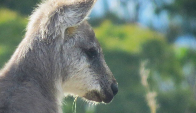 Private Nature Reserve